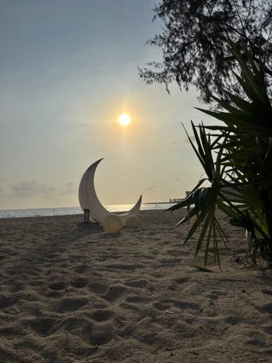 Photo of model @u529099281