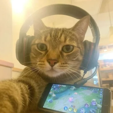 Photo of model @u529104731