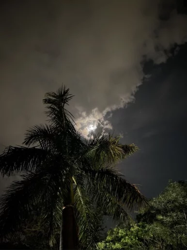 Photo of model @u529108888