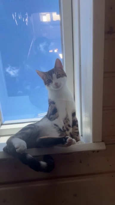 Photo of model @u529109779