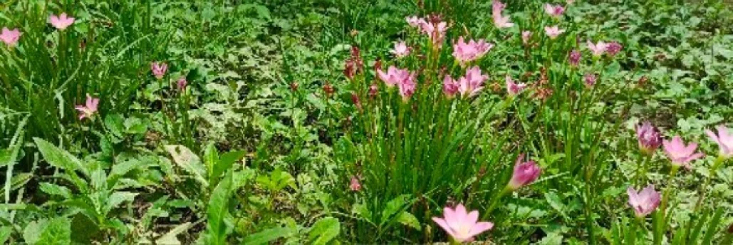 Photo of model @u529117298