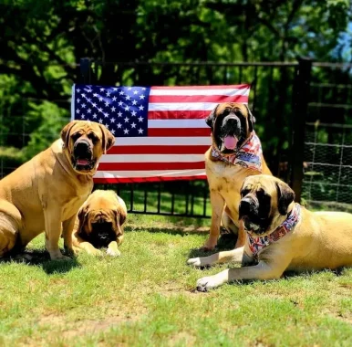 Photo of model @u529120696