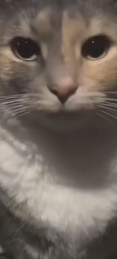 Photo of model @u529121035