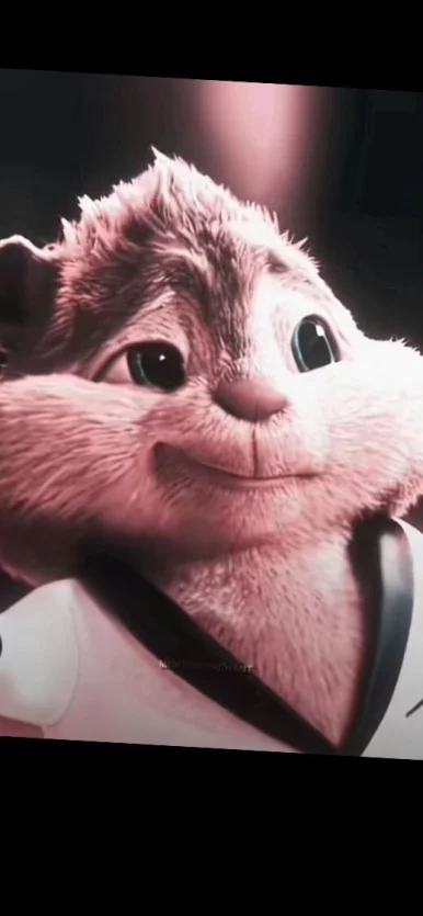 Photo of model @u529122132