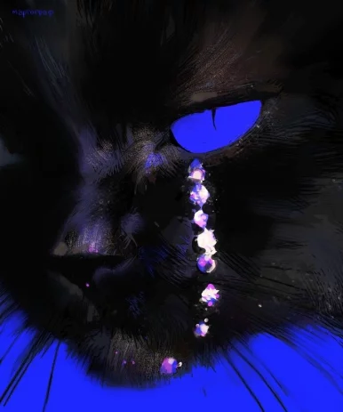 Photo of model @u529122824