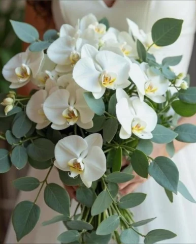 Photo of model @u529128968