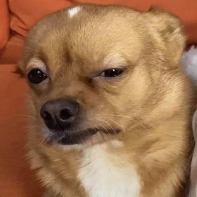 Photo of model @u529130318