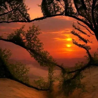 Photo of model @u529132385