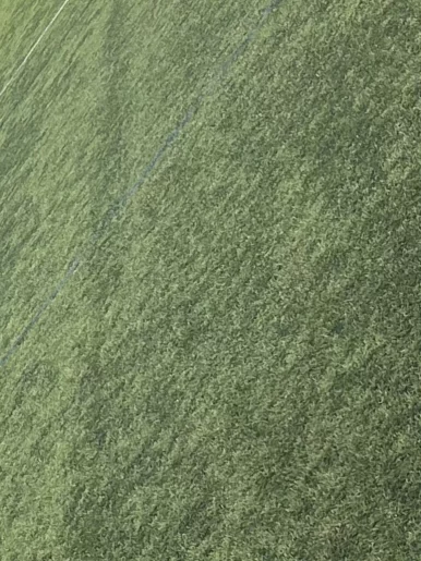 Photo of model @u529132425