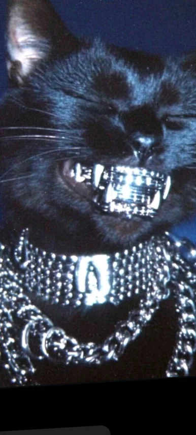 Photo of model @u529134250