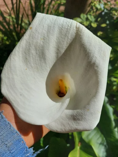 Photo of model @u529134740