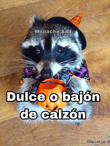 Photo of model @u529137102