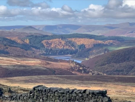 Photo of model @u529148399