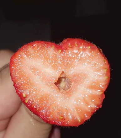 Photo of model @u529148716