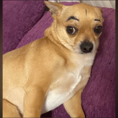 Photo of model @u529150300