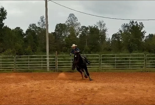 Photo of model @u529154925