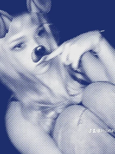 Photo of model @welldonecat