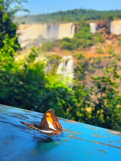 Photo of model @zamiandlisa