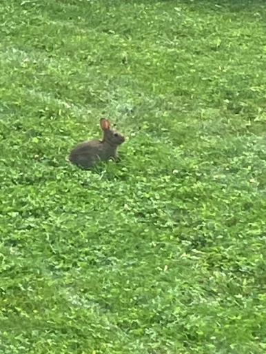 Photo of model @zenye