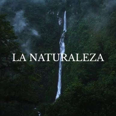 Photo of model @zuki_zuki